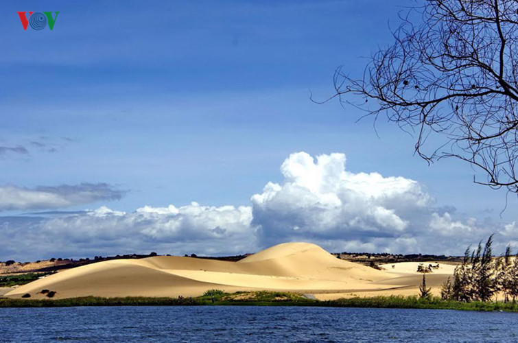  Bàu Trắng là một hồ nước ngọt cách Mũi Né (Phan Thiết) khoảng 45 km về hướng Đông Bắc.