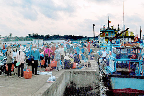 Sáng sớm, khi ánh mặt trời còn chưa ló dạng, cảng Phú Quý đã trở nên nhộn nhịp