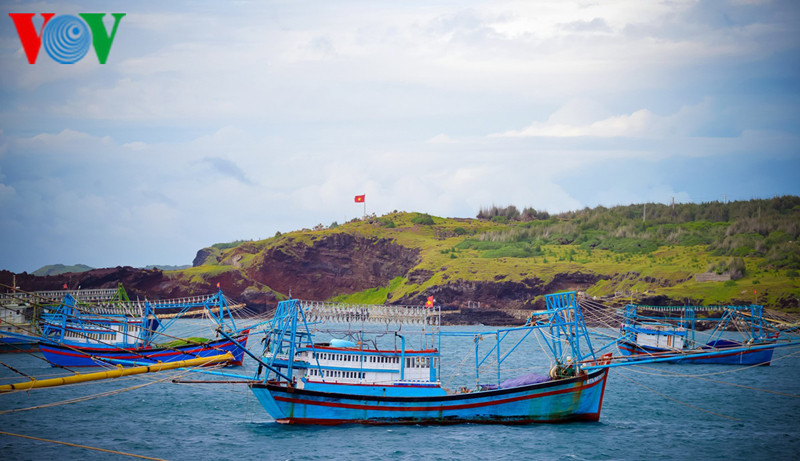 Sáng sớm nhiều tàu bè cập đảo Phú Quý sau chuyến đánh bắt nơi khơi xa.