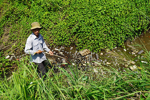 Anh Nguyễn Thoại, người dân thị trấn Thuận Nam sống gần suối cho biết lúc trước suối này rất trong và nhiều cá…