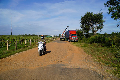 Theo người dân địa phương và các chủ trại thanh long ven đường, tuyến Thuận Quý - Hòn Giồ bị xuống cấp nặng nề do xe quá tải qua đây liên tục.