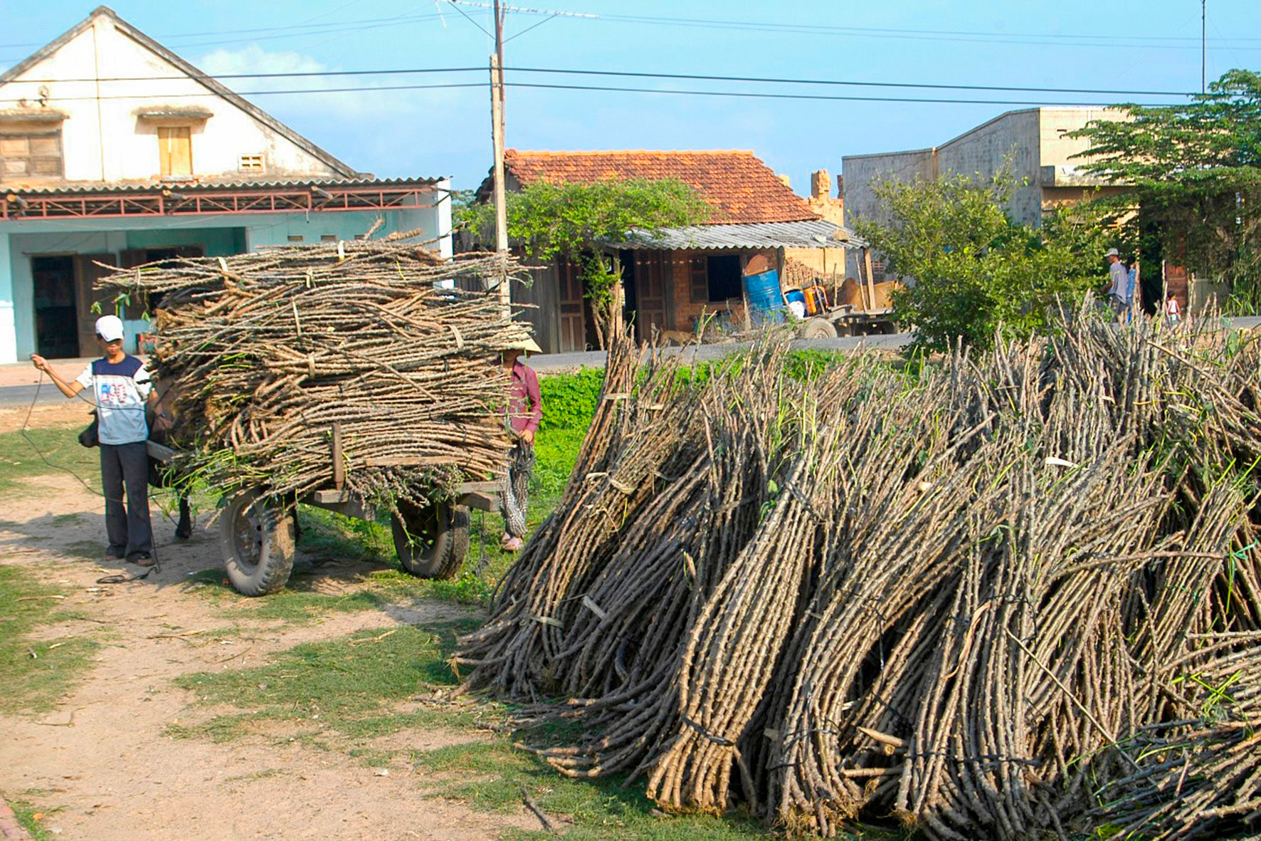 san-xuat-nong-nghiep-o-tan-thuan-anh-n.-lan-2-.jpg