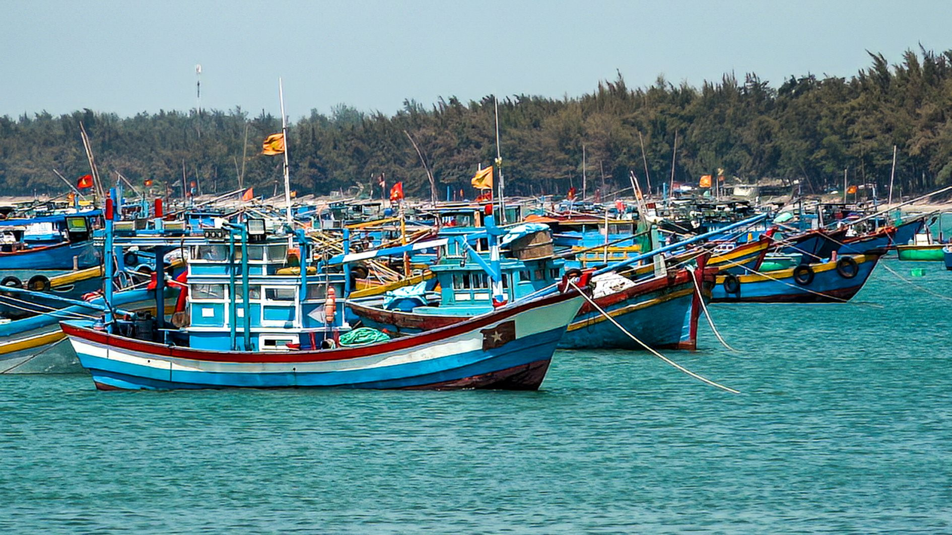 Làm gì để gỡ cảnh báo “thẻ vàng” của EC?