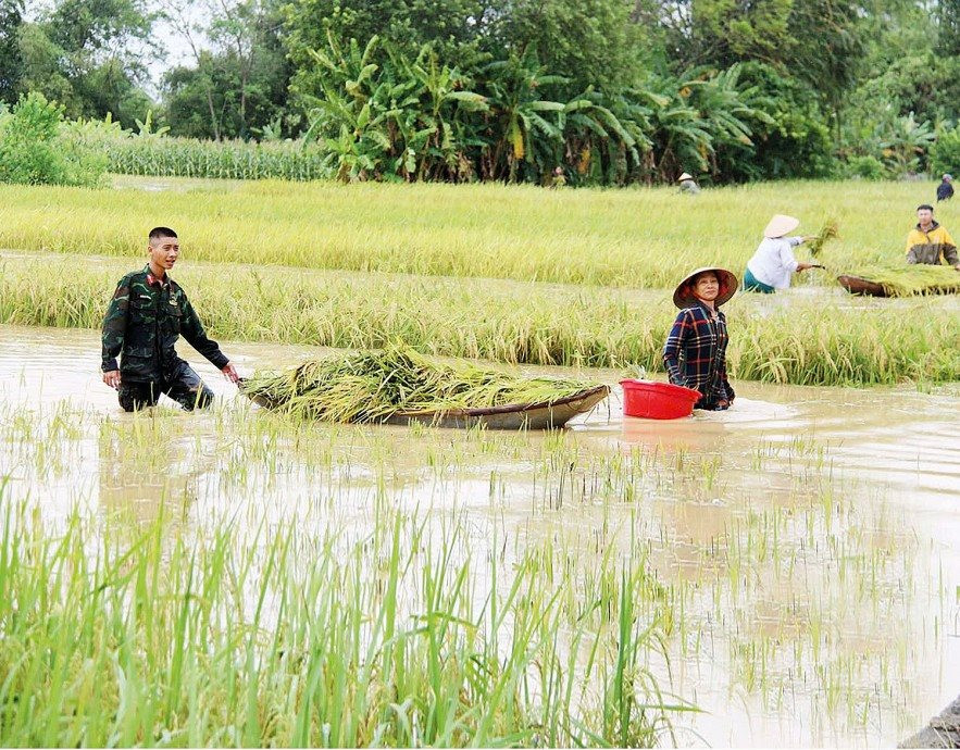 khoi-phuc-san-xuat-nong-nghiep-sau-bao-20240916045617.jpg