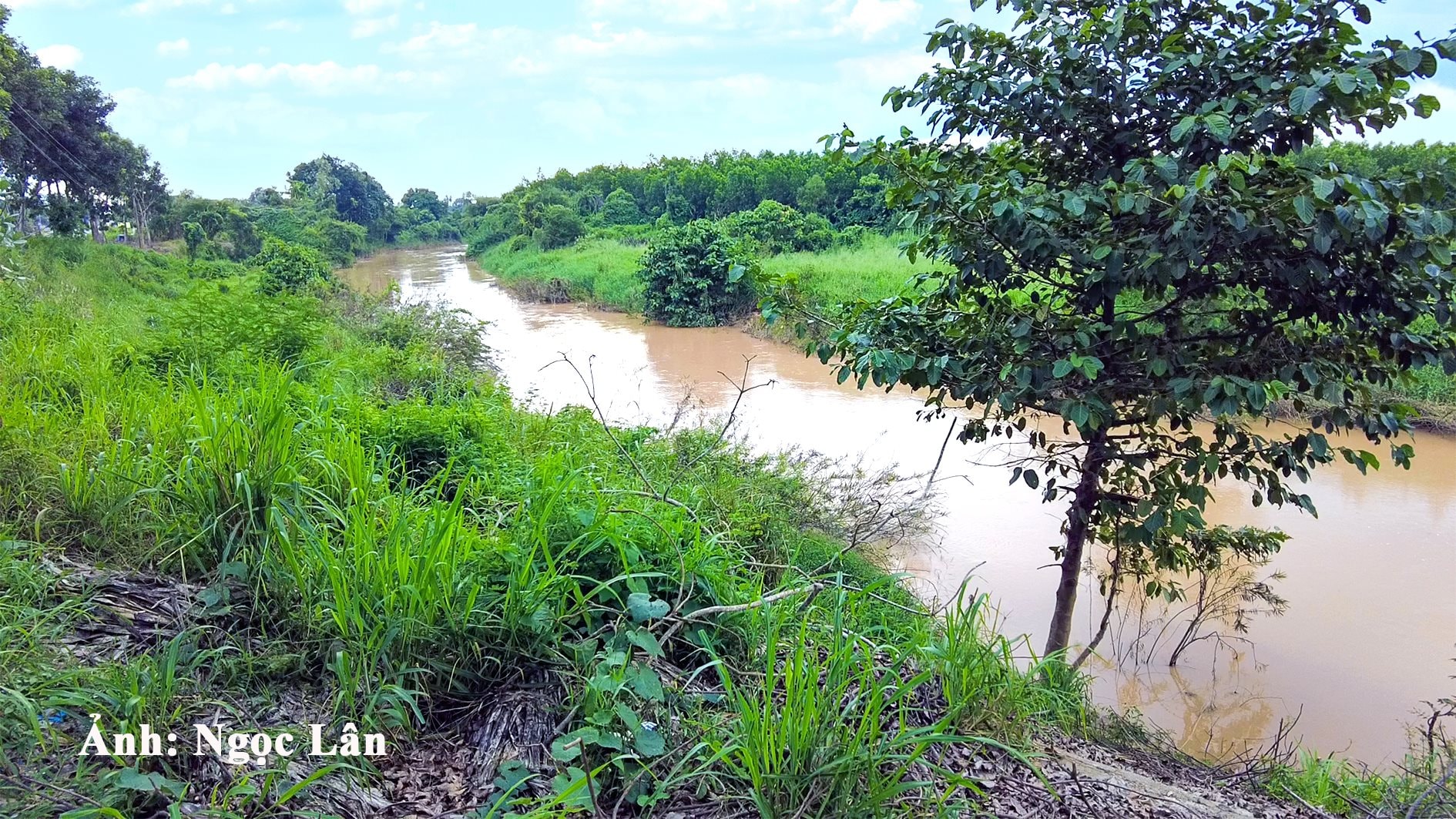 song-gieng-chay-qua-tan-duc-binh-thuan-anh-n.-lan-2-.jpg