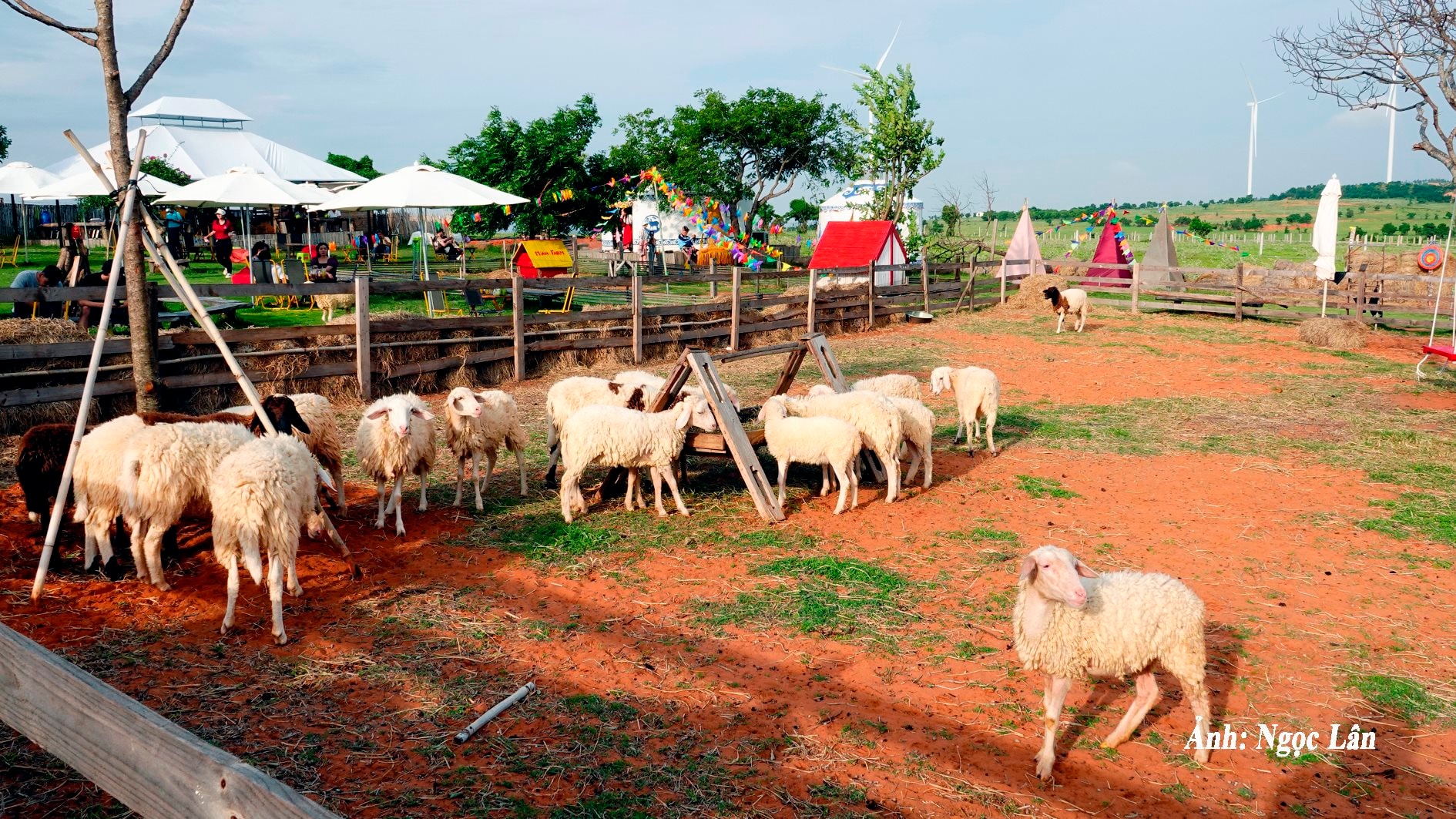 du-lich-trang-trai-mian-farm-o-hoa-thang-bac-binh-anh-n.-lan-.jpg