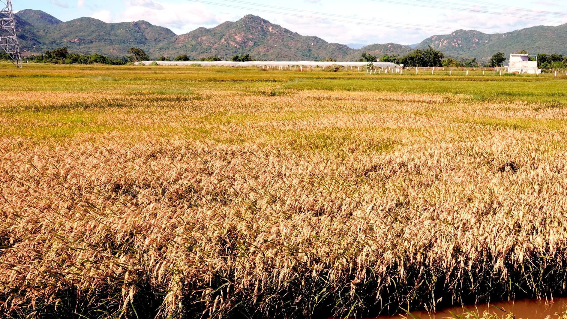 bac-binh-2.jpg.jpg