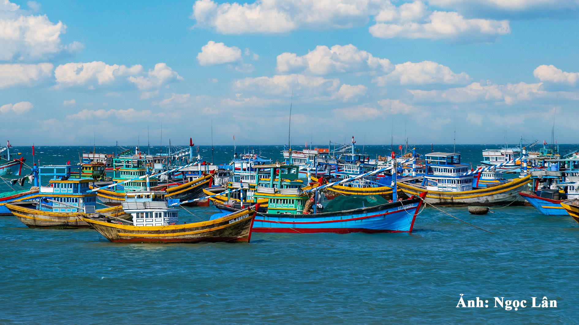 Tại sao thuyền trưởng né cảng cá chỉ định?
