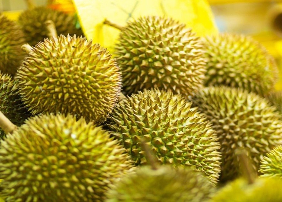 sau-rieng.jpg