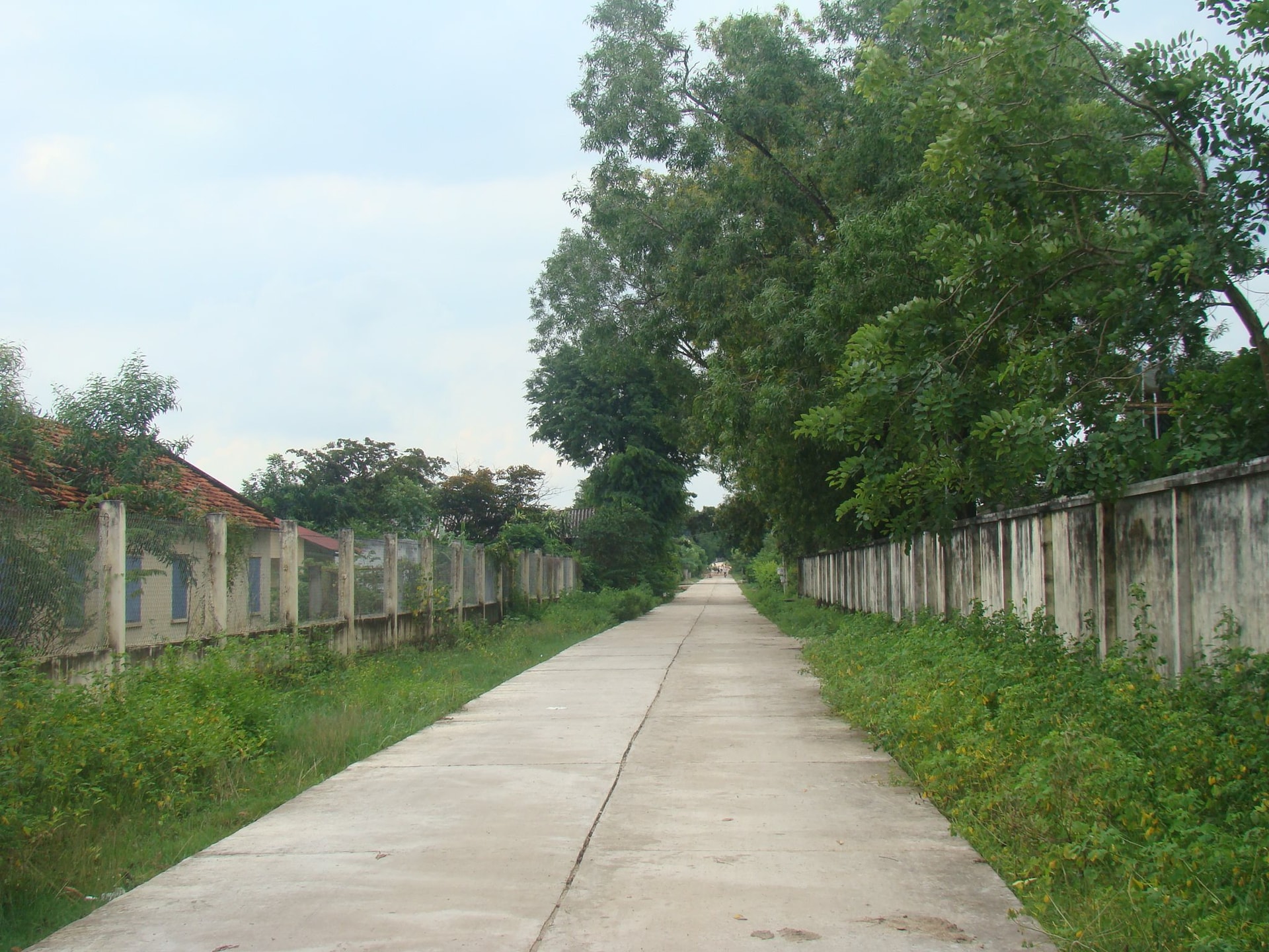 dsc00734.jpg