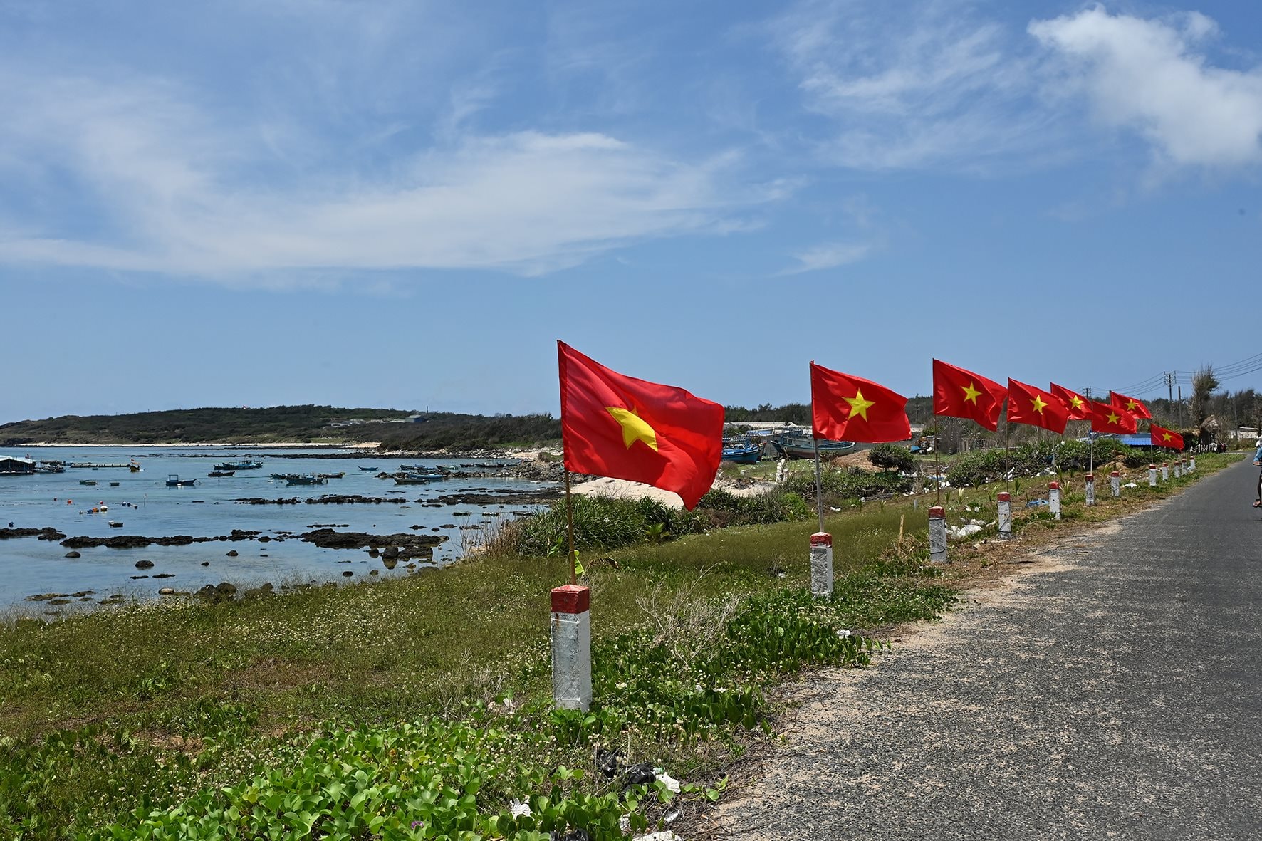 dsc_8725.jpg