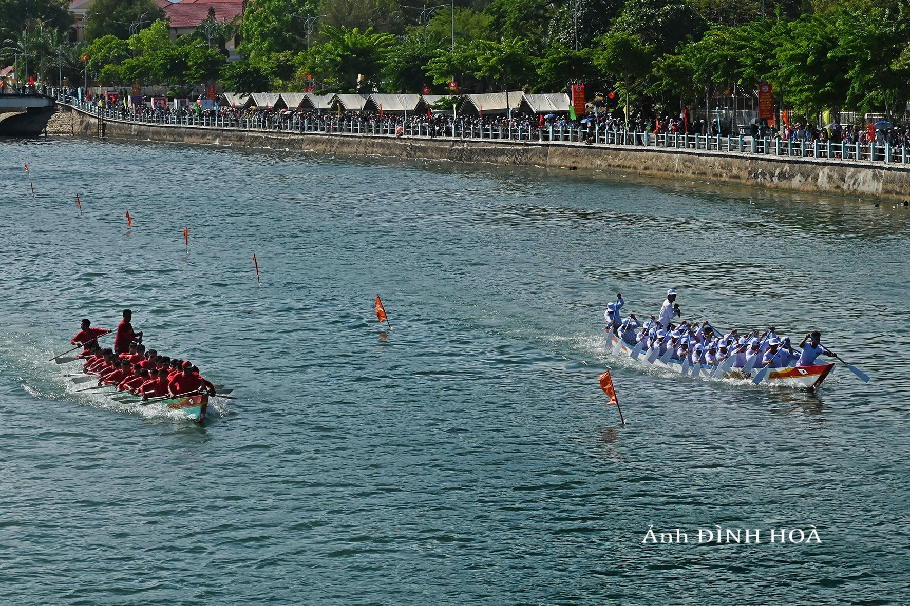 dsc_9218.jpg