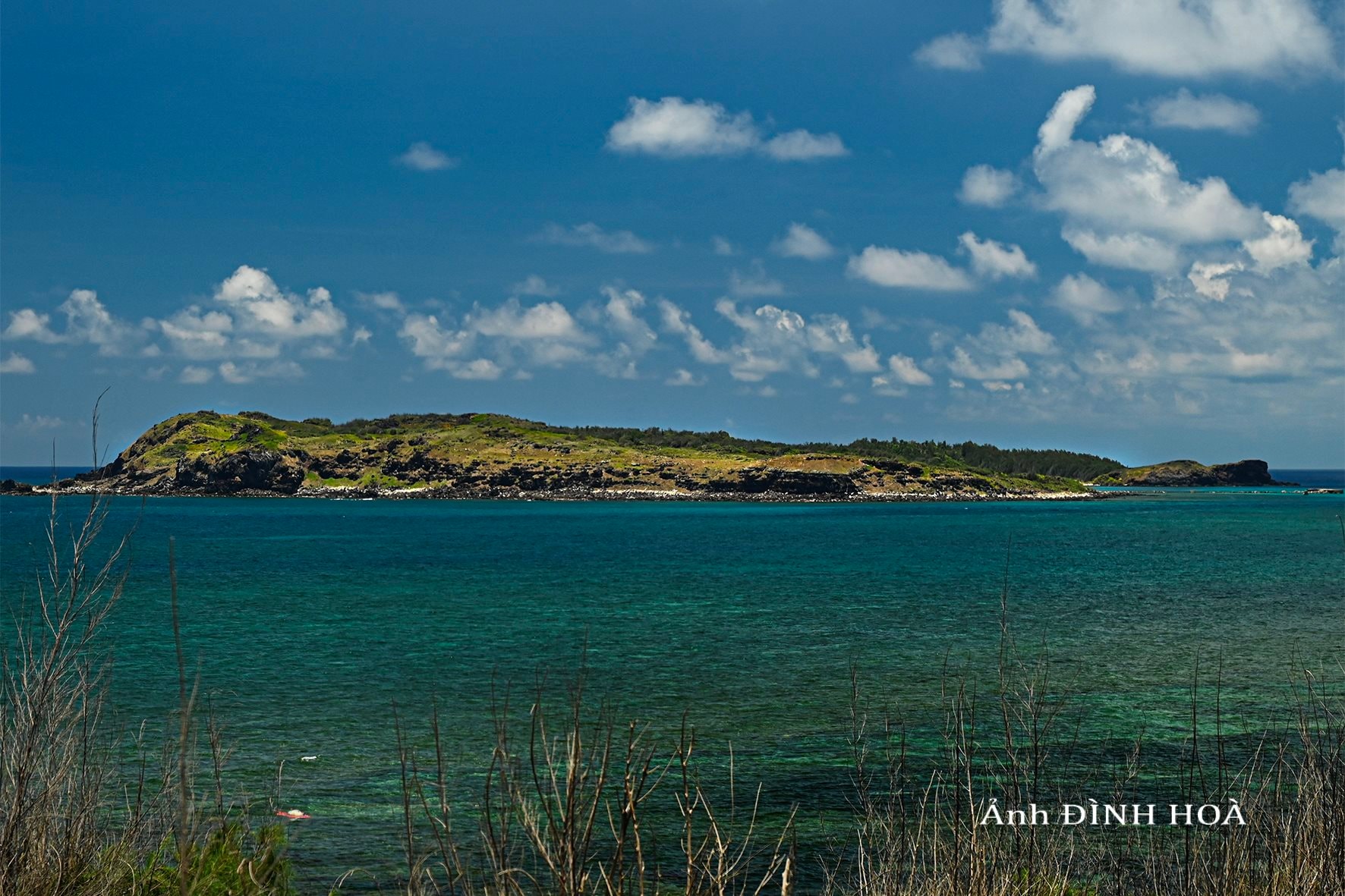 dsc_1562-1.jpg