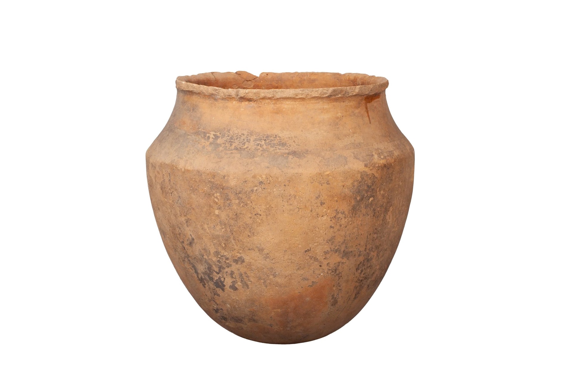 mot-so-hien-vat-tien-su-va-so-su-.1.jpg