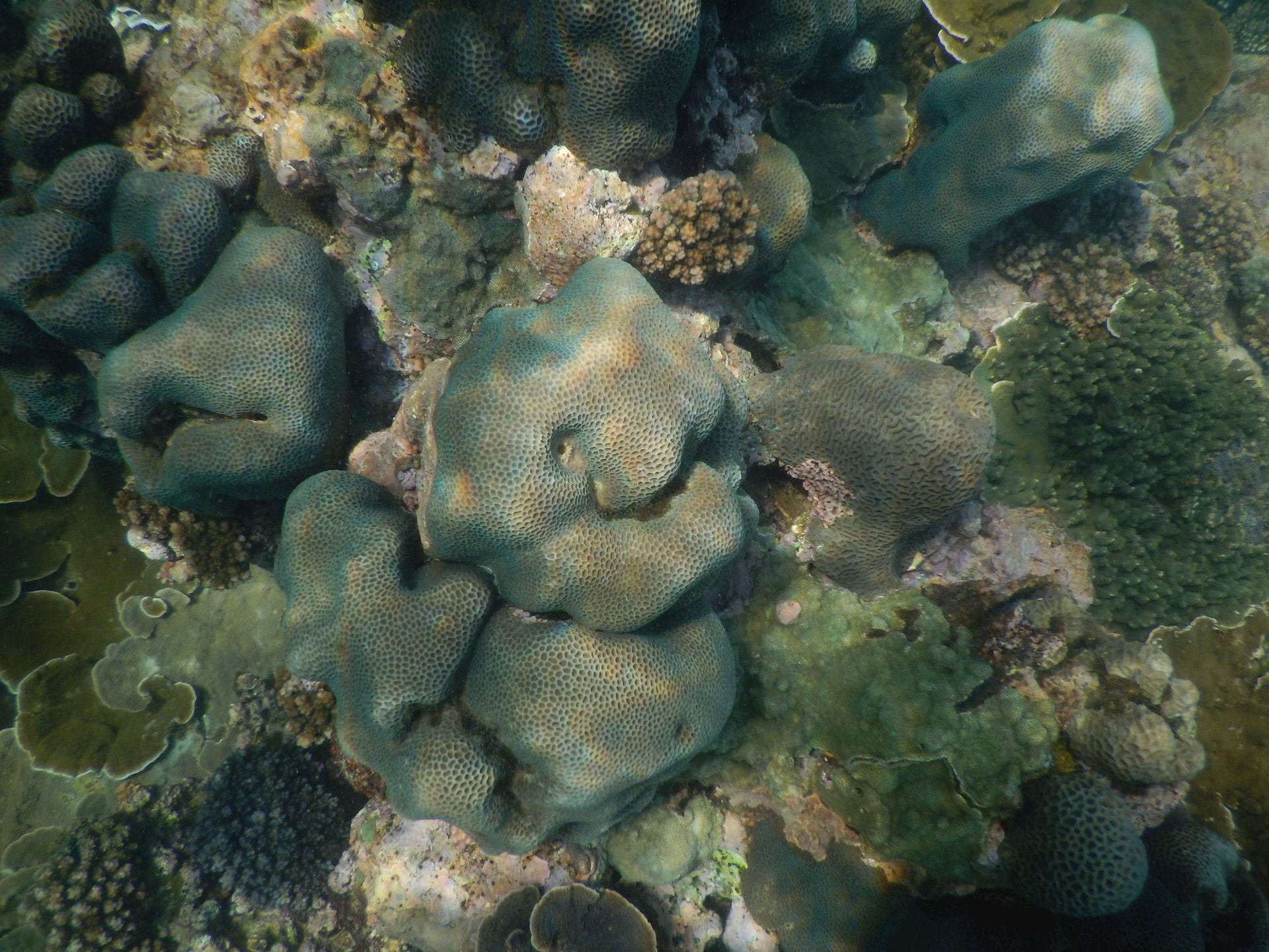 dscn9718.jpg