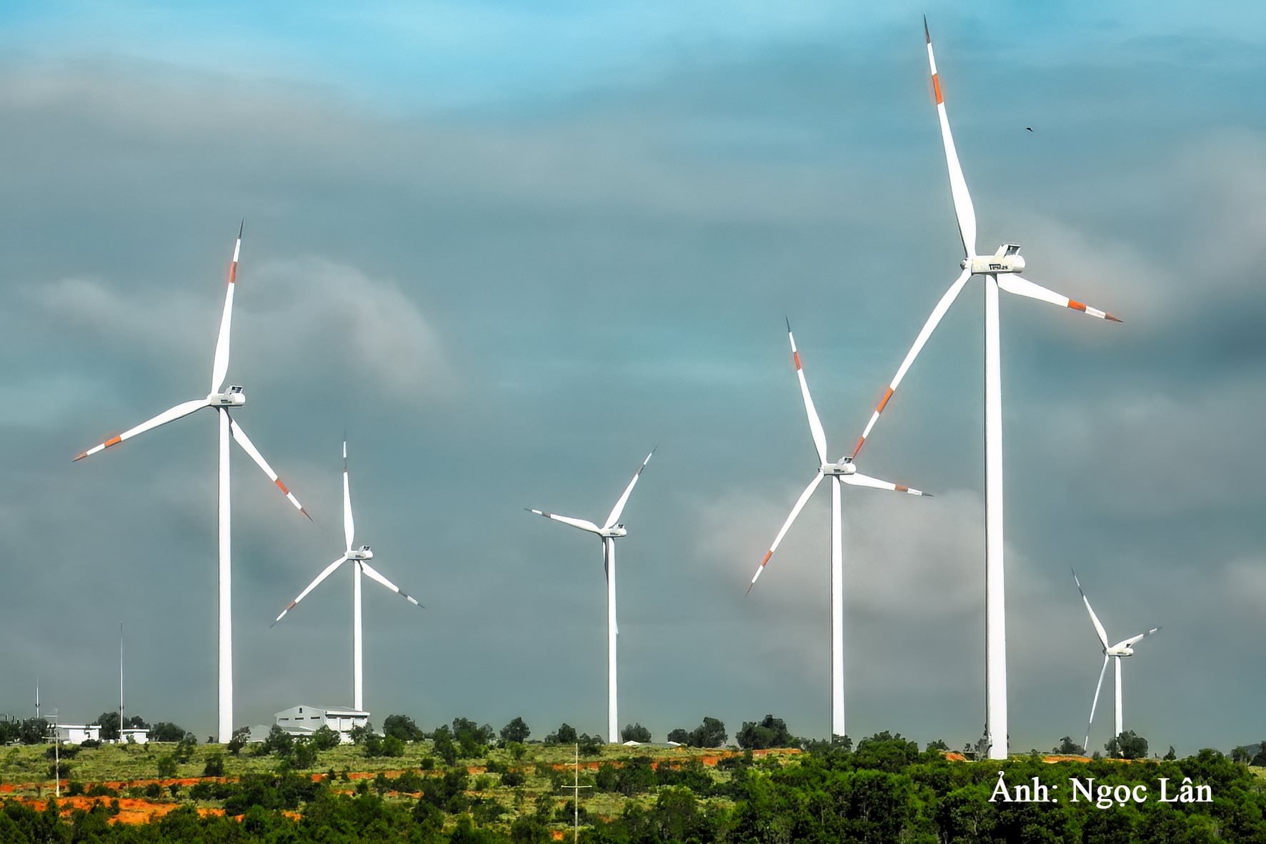 sala de viento eléctrico-foto-n.-lan-.jpg