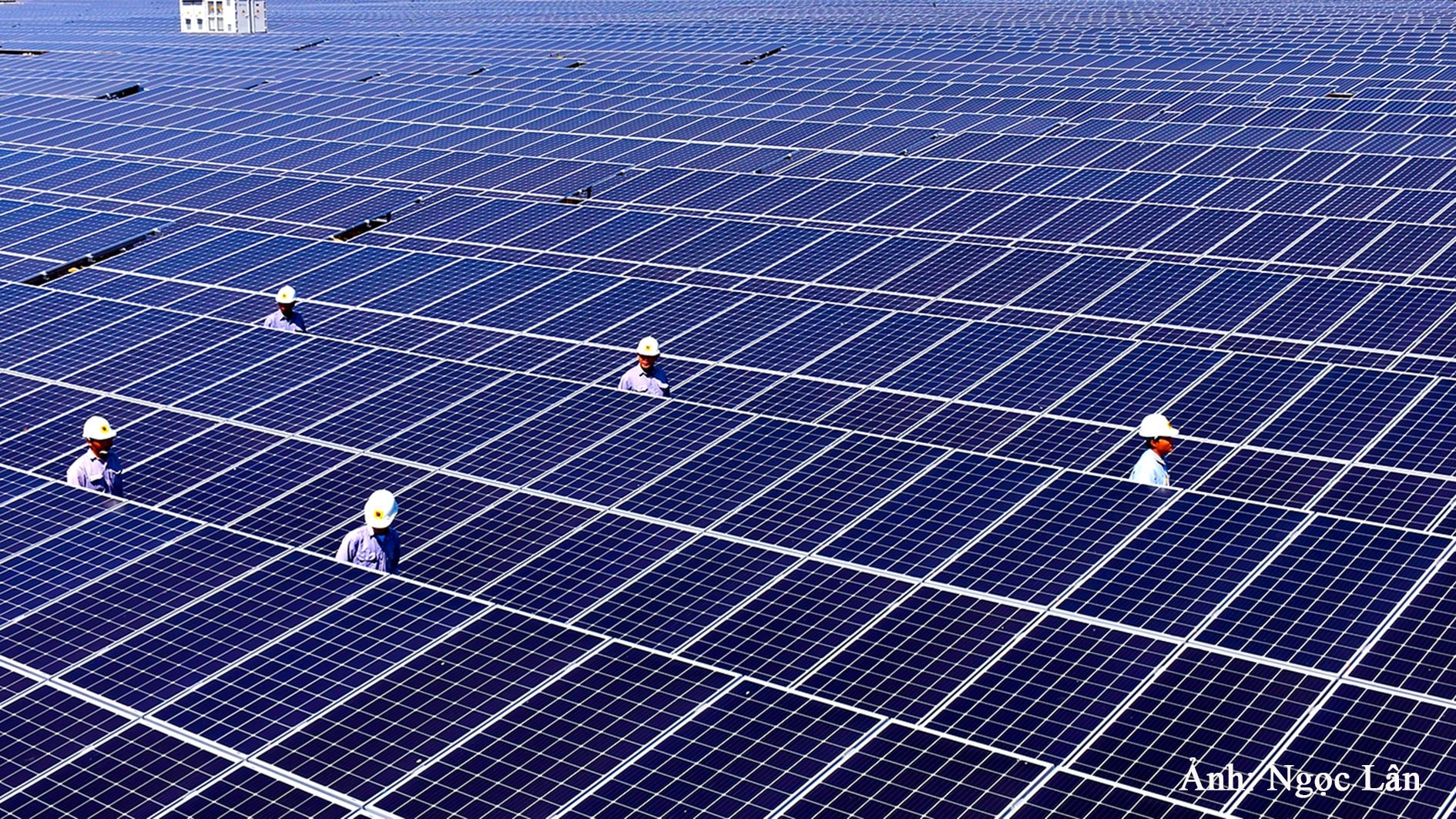 sol-electrico-en-Tuy-phong-anh-ngoc-lan-.jpg