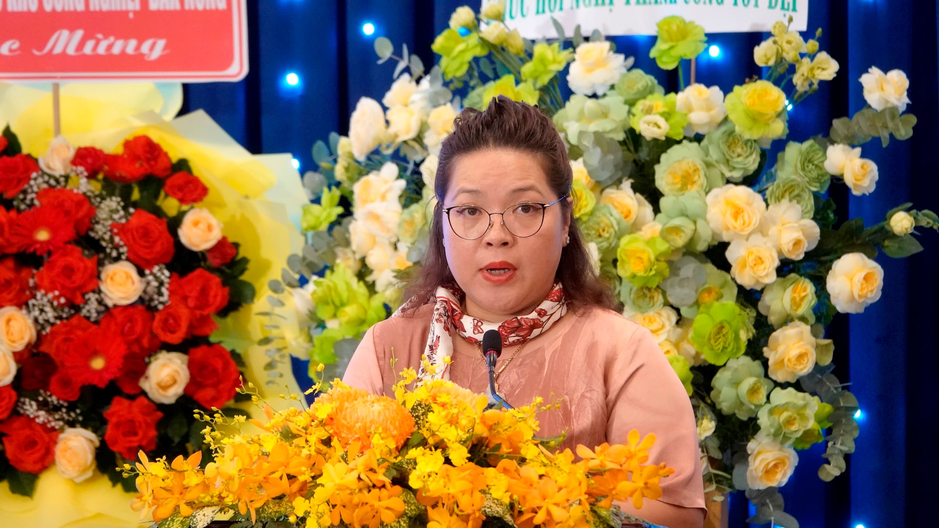 ba-tran-thi-hai-yen-giam-doc-trung-tam-xuc-tien-thong-tin-va-ho-tro-dau-tu-phia-nam-phat-bieu.jpg
