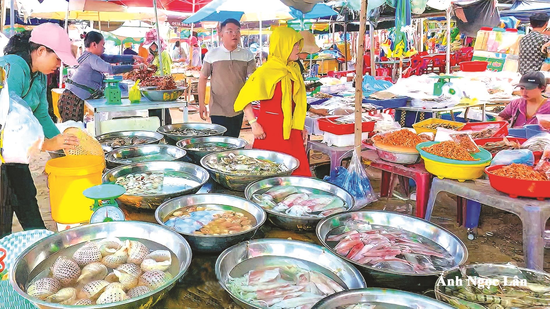 cho-hai-san-cam-binh-anh-n.-lan-4-.jpg