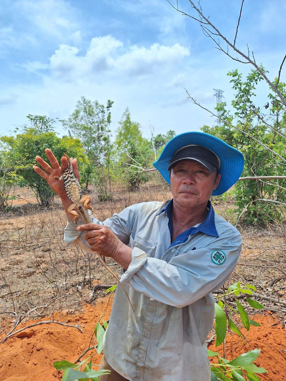 “Săn” dông sau cánh rừng