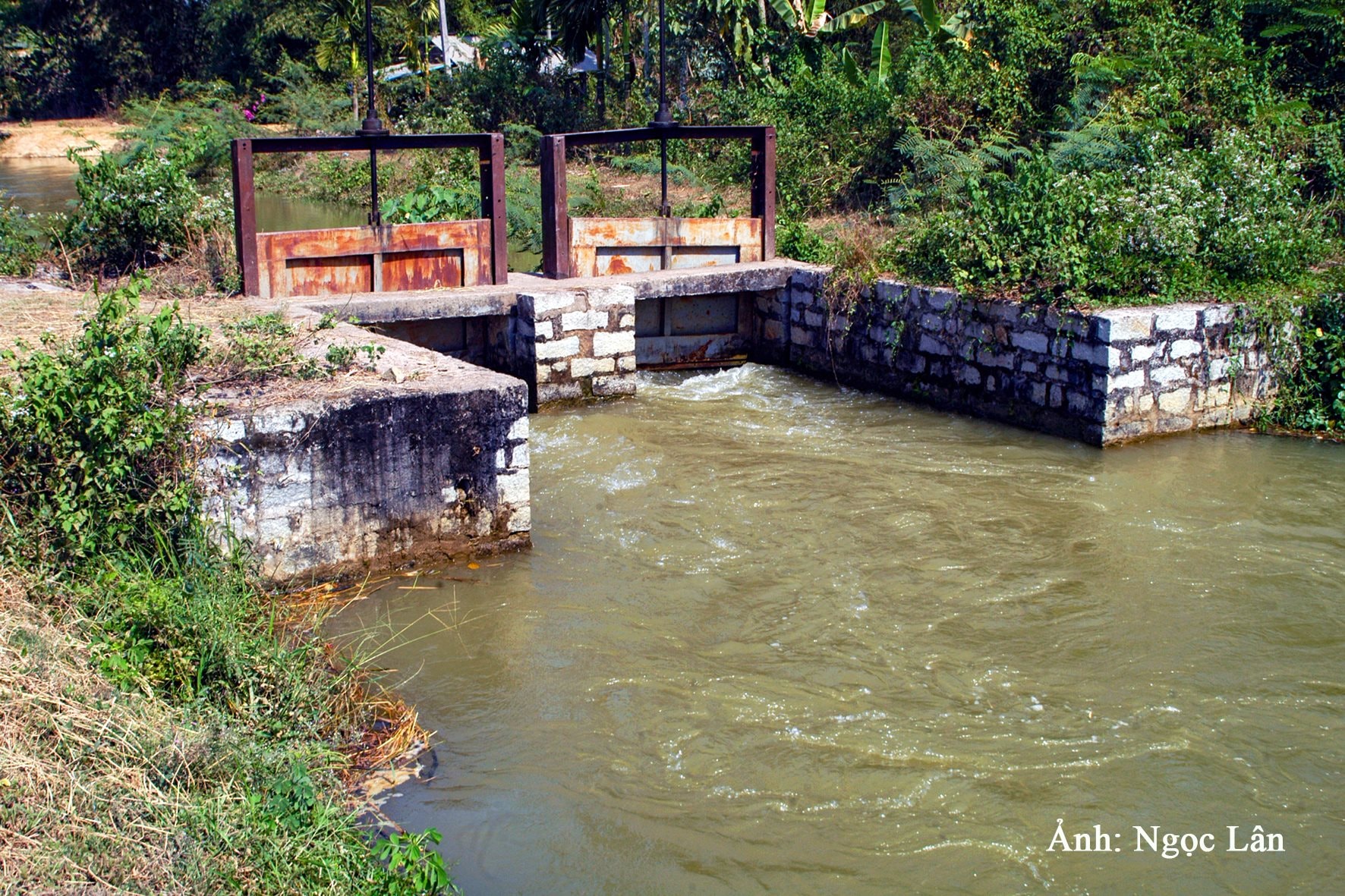 kenh-thuy-loi-o-duc-linh-anh-n.-lan-2-.jpg