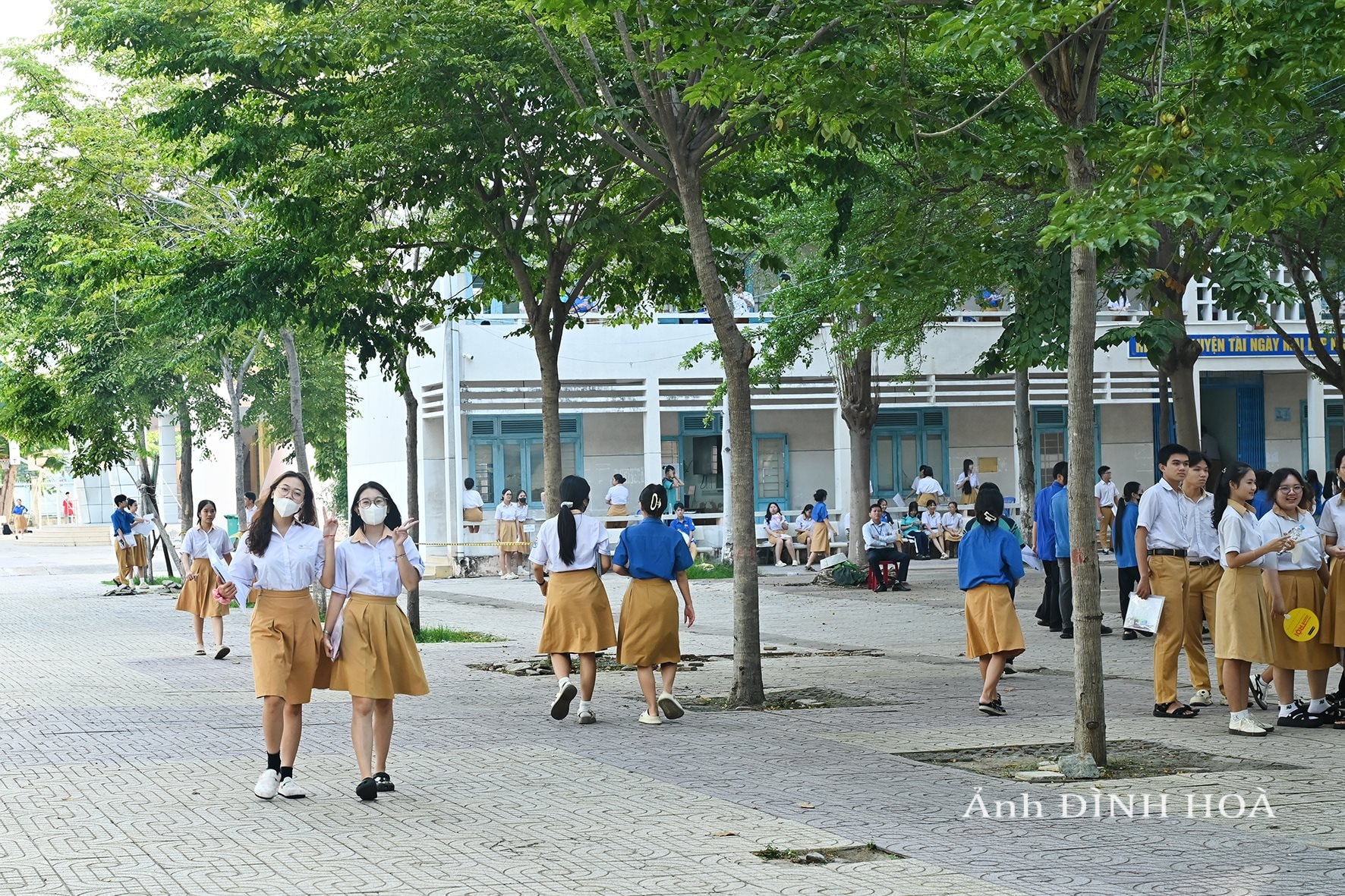 dsc_0403.jpg