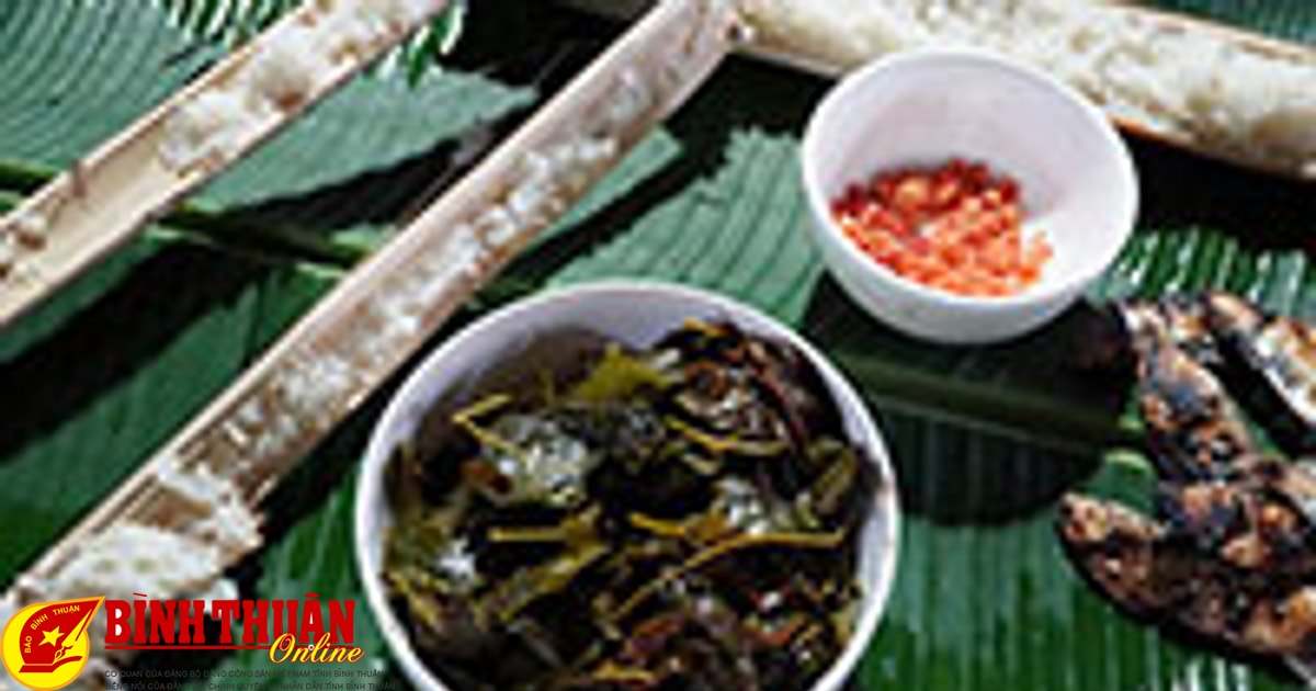 Lên núi săn đặc sản rau rừng “lá bép”