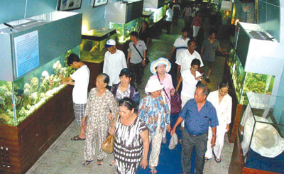 Du lịch Bình Thuận: Bảo tàng văn hóa biển - sao không ?