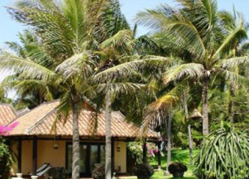 Two resorts in Phan Thiet added environmental award Green Lotus to theirs accolade 