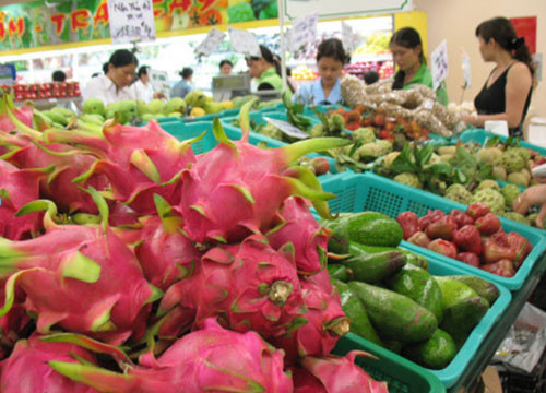 First 100 tons of Binh Thuan dragon fruit went to Thai Big C supermarkets