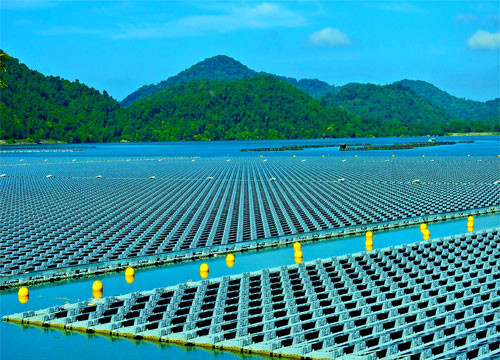 Pictures depict bustling activities of solar power farm on Da Mi Lake