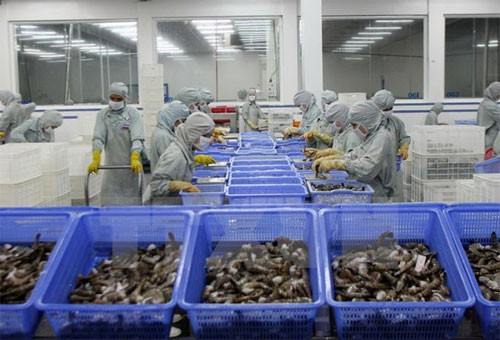 Vietnam aquaculture export and forum opens in Can Tho