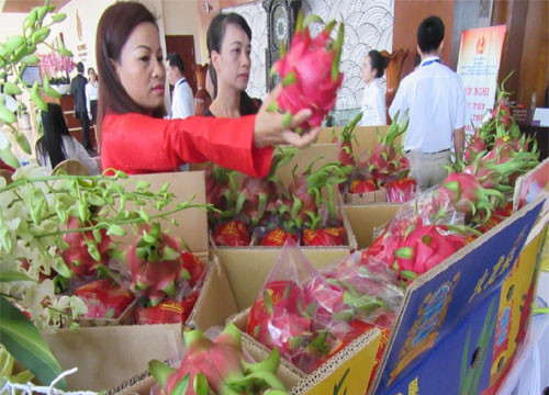 Market survey and promotion for Binh Thuan dragon fruit in India