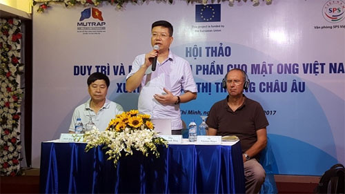 EU is potential market for Vietnamese honey exports: experts