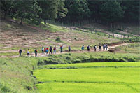 Hành trình trekking Tà Năng - Phan Dũng thu hút dân phượt