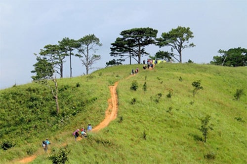 Ta Nang – Phan Dung trek emerges as a really adventurous ramble 