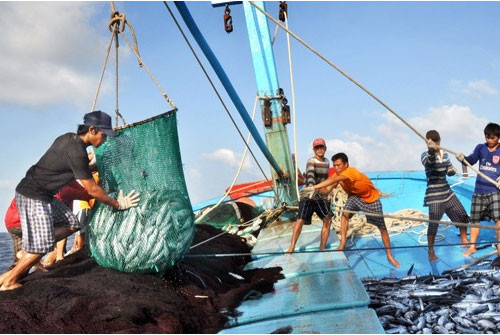 Ministry takes actions in response to EU’s warning of IUU fishing