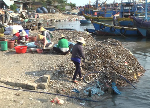 Bình Tân: Vỏ sò lấn dòng sông Dinh