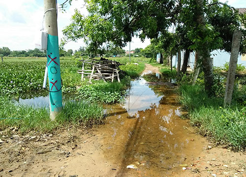 Phường Phú Tài: Hàng chục hộ dân không có đường thoát nước
