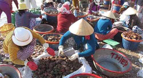 Binh Thuan to ban temporarily on exploitation of seafood specialties