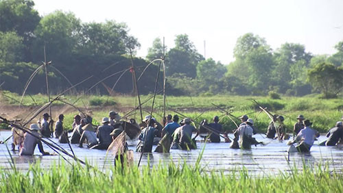 Traditional fishing festival held in Quang Tri