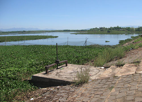 HTX Tân Hà được thuê hồ Trà Tân để đánh bắt cá