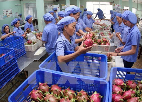 Vietnam eyes 21 billion USD in cultivation exports in 2018