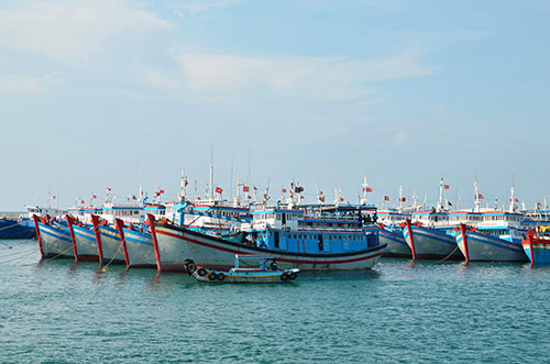 Binh Thuan to strengthen law enforcement on illegal fishing in foreign waters