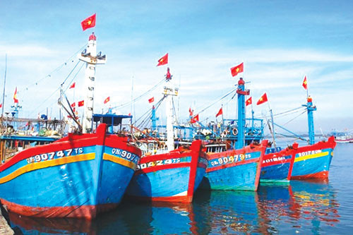 Binh Thuan launches action plan to stop IUU fishing
