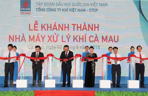 NA leader witnesses gas processing plant inauguration in Ca Mau