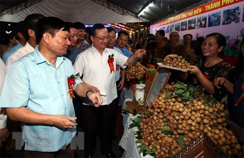 Longan Festival 2018 opens in Hung Yen province