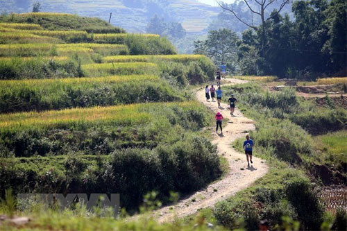 Over 3,100 runners compete in Sa Pa int’l mountain marathon