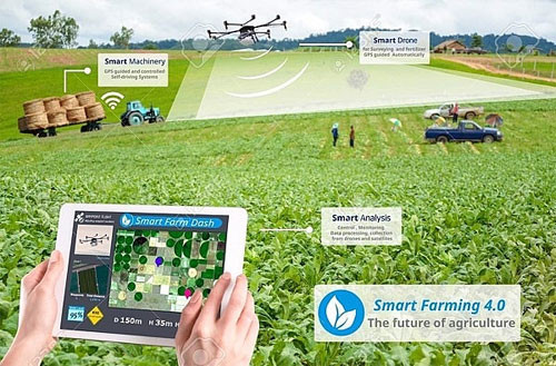 VBF 2018: Investment opportunities in smart agriculture