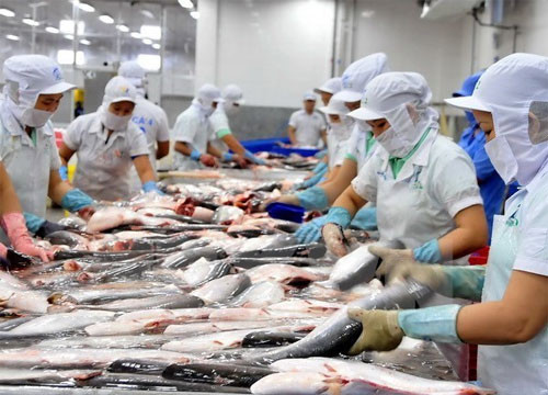 More firms hoped to ship aquatic products to Russia